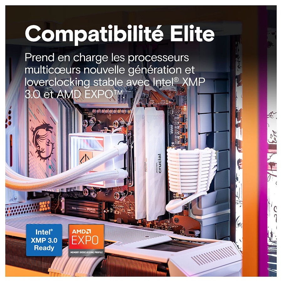 imgi113MN0006291143jpg KARAOTECH